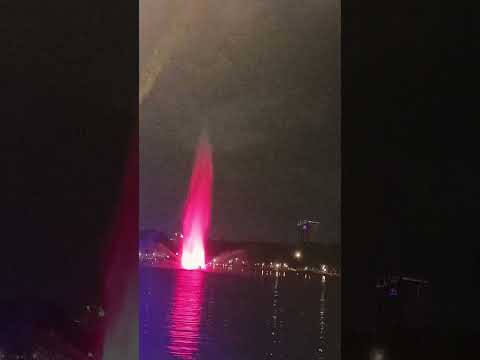 Night view,#nasrin #nature #🌺🌺🌺🌺.