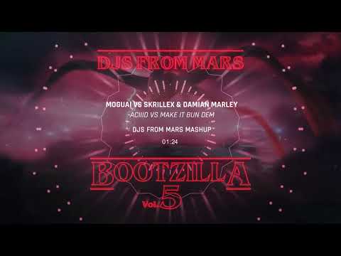 Moguai Vs Skrillex & Damian Marley - Aciiid Vs Make It Bun Dem (Djs From Mars Mashup)