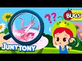 Insect Camouflage Can You See Me Cutie Crawlies Insect Songs For Kids JunyTony