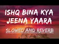Ishq Bina - Slowed and Reverb | A.R.Rahman | Lofi Dope Music | Lyrics | 90's Hit | Midnight Vibes |