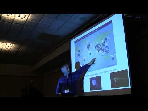 Dave Ebert  | Overview of FAO IPOA Sharks: Status of implementation to date | Part 1 of 2