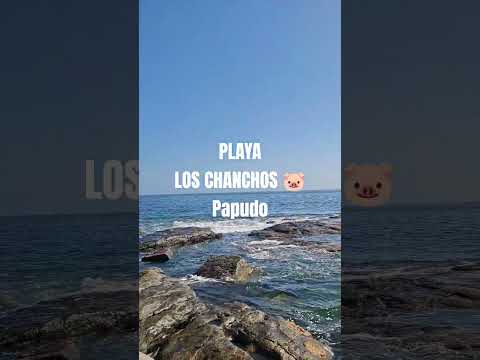 🌊🐚PLAYA LOS CHANCHO EN PAPUDO, REGION DE VALPARAISO (MI NOMBRE FAVORITO)#VLOG #playasdechile