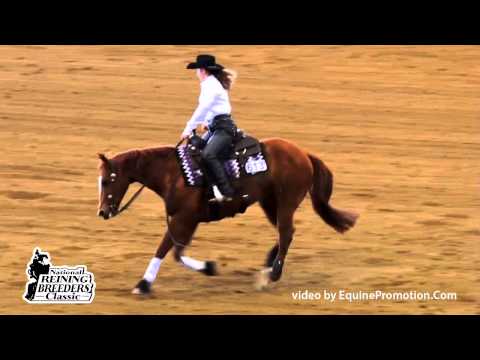 Yes Ima Gunner ridden by Sidney Perdue - 2015 NRBC(Non Pro Challenge)