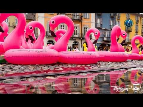 Apolide Locarno - 2018 | 4TamilMedia