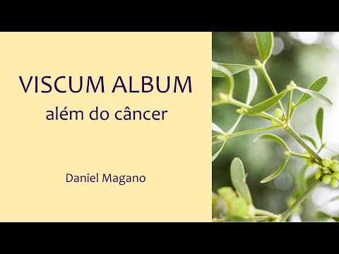 Miniatura: Viscum album além do câncer