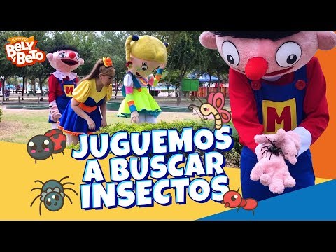 Juguemos A Buscar Insectos - Bely y Beto