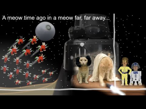 Star Wars Special Edition: Episode IV - A New Hope. With Cats.