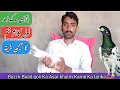Bazi K Baad Medicine Ka Asar Khatm Karne Ka Tarika KabootarOfficial