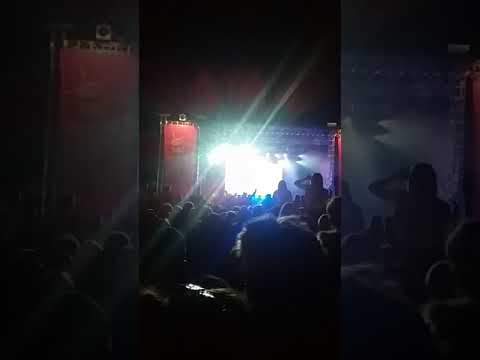 Peking duk one night stand