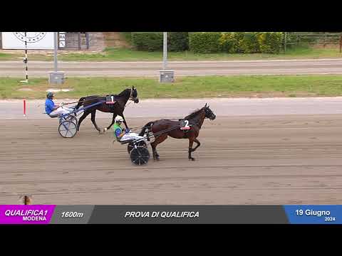 Ippodromo Ghirlandina - 19/6/2024 - Qualifica 1