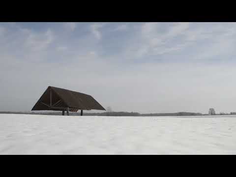 Biennale Architettura 2018 - Arrea Architecture