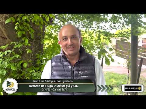 19-10-23 - Juan Cruz Arístegui - Consignatario - Cacharí, Bs.As.