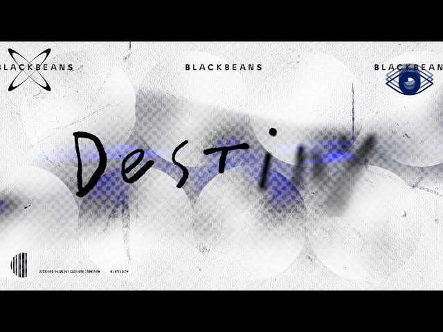 Destiny - Blackbeans