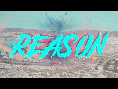 Reason
