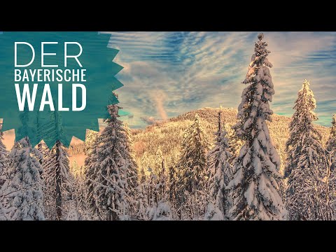 Der Bayerische Wald - Tipps für einen aktiven Urlaub für eine Woche