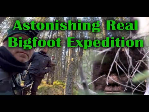 Astonishing success on Bigfoot Expedition.  Sasquatch are Real