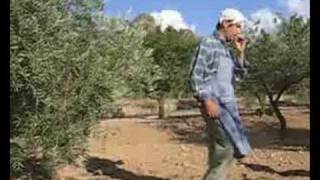 preview picture of video 'HUMOR - Agricultura ecológica  ( parte 1 )'