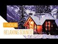 1 Hour Relaxing Snowstorm Sounds | Blizzard Sounds | Cabin Fire Place |