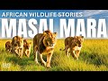 MASAI MARA AFRICAN WILDLIFE STORIES हिंदी Wildlife Documentary In Hindi