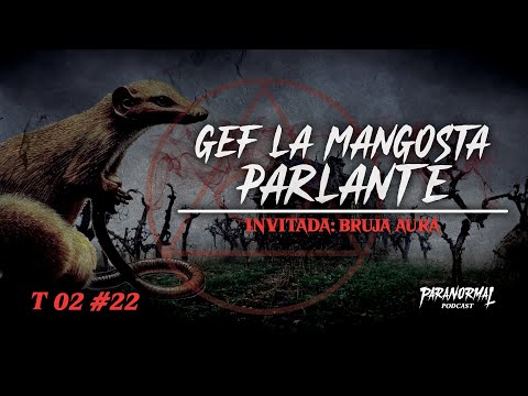 GEF LA MANGOSTA PARLANTE Y LA MAGIA DE LOS MUERTOS | Invitada: BRUJA AURA - T2 E22