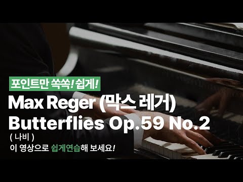 Butterflies Op.59 No.2 (나비) 영상