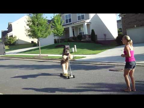 norman scooter longer run.MP4