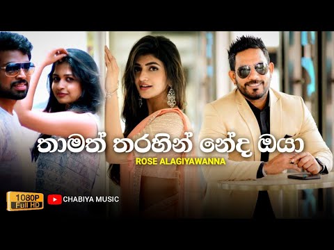 තාමත් තරහින් නේද ඔයා... 🥺💔 Thamath Tharahin Neda Oya ( තාමත් තරහින් නේද ඔයා ) - Rose Alagiyawanna