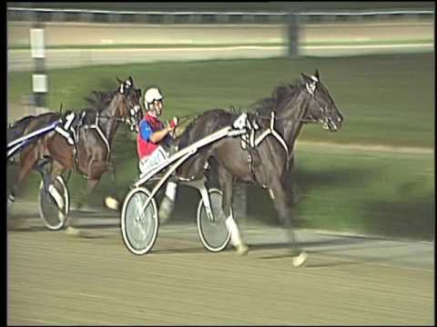 Trotto 30/07/2016 - 3° corsa