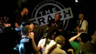 MURPHY'S LAW - "STILL SMOKING" Live in Brooklyn, St. Paddy's Day 2010