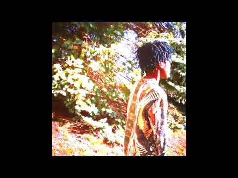 Diamond Qanvas  - Maintainin (Prod.By DRESAVAGE800)