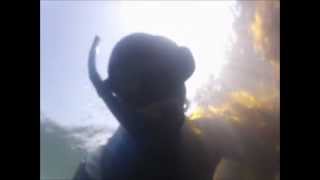 preview picture of video 'Nick and Alex Abalone Diving in Albion Cove, CA'