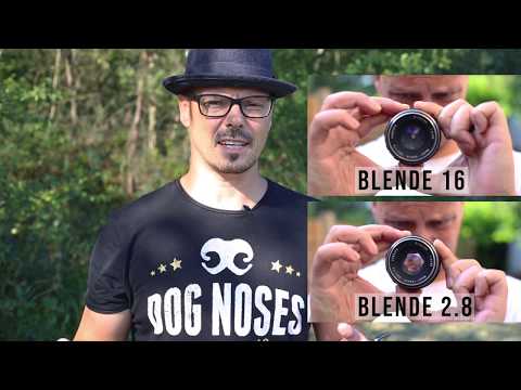 Was ist die Blende - Hunde Fotografie Grundlagen Teil 1