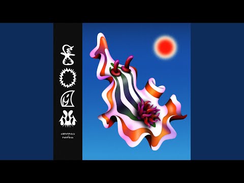 Cosmic Flower - Divino Niño