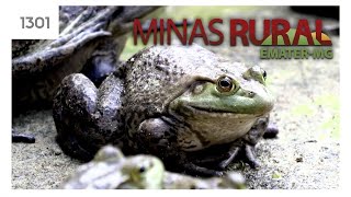 Miniatura do vídeo