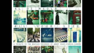 Al Di Meola - She&#39;s Leaving Home