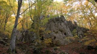 Valeriu Sterian - Amintire cu haiduci (outlaws memory)