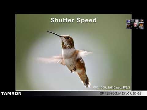 5 Minute Refreshers: Getting Back to Basics, Understanding The Exposure Triangle