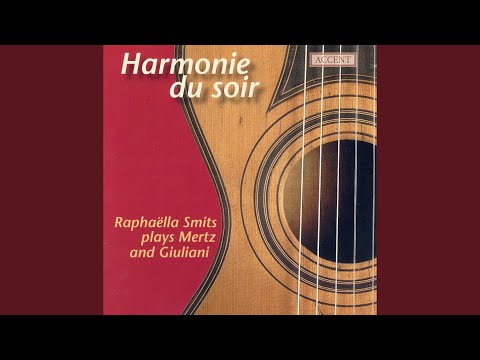 Guitar Sonata, Op. 15: I. Allegro spiritoso