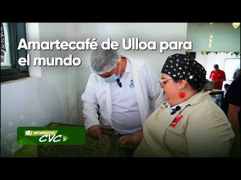 Amartecafé de Ulloa para el mundo