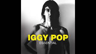 Iggy Pop - Wild America