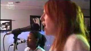 Hayashi - Shopfloor Tiger Trap