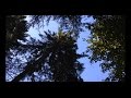 Lisa’s Song - Allison Crowe and Band - Heirs + Grievances
