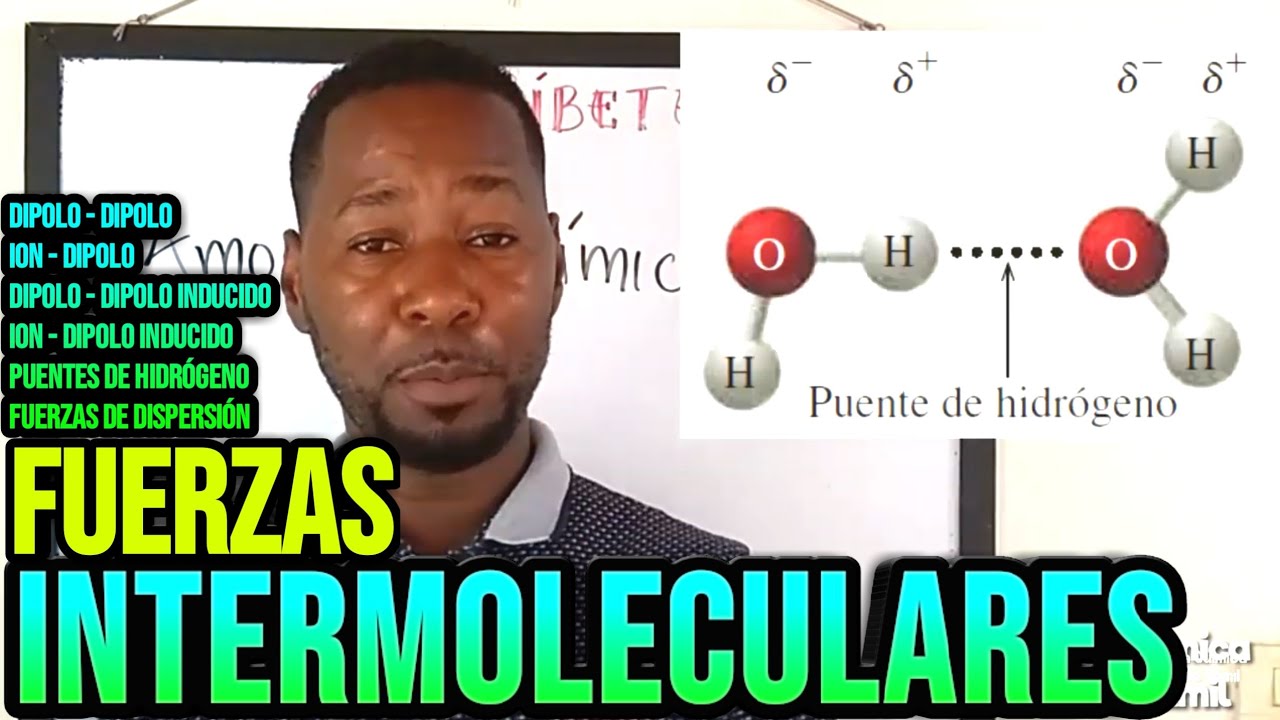 FUERZAS INTERMOLECULARES: dipolo - dipolo, ion - dipolo, puentes de hidrógeno, fuerzas de dispersión