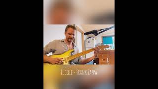 Lucille Has Messed My Mind Up - Frank Zappa cover by Peter L Barry