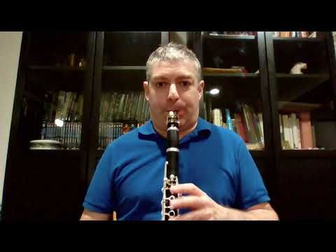 Multiple Articulation - Extended Techniques for Clarinet and Bass Clarinet