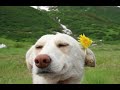 A Random Playlist To Dance To In Your Room Alone
