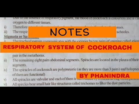 Inter 2nd year SYNAPTIC TRANSMISSION ZOOLOGY