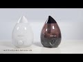 Video review WetAir MH-204W