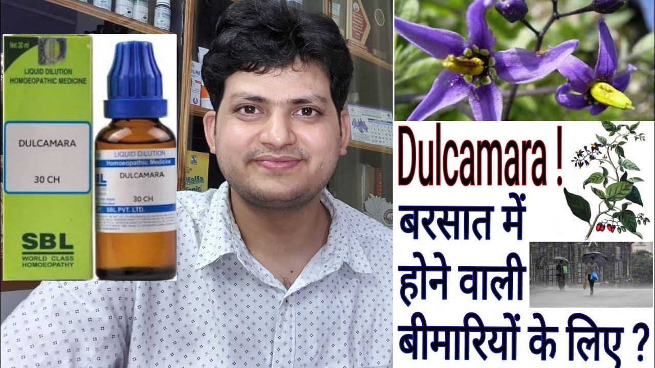 Dulcamara ! Homeopathic Medicine Dulcamara for Diseases of rainy season & Damp Weather !!