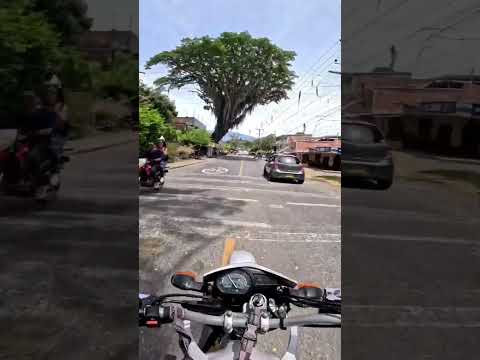 RIOFRIO VALLE DEL CAUCA